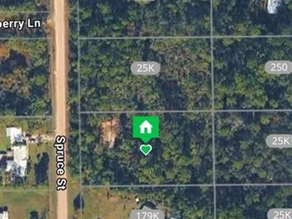 2737 SPRUCE STREET, BUNNELL, FL 32110