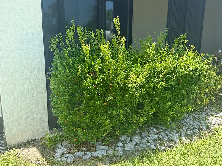 2640 Treasure Cay Ln — Photo 17