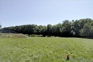 2nd image of 10923 Autumn View Ln