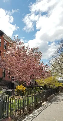 Rented by Avenue Sotheby's International Realty | media 25