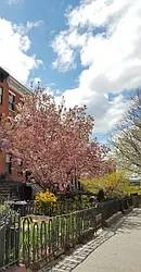 Rented by Avenue Sotheby's International Realty