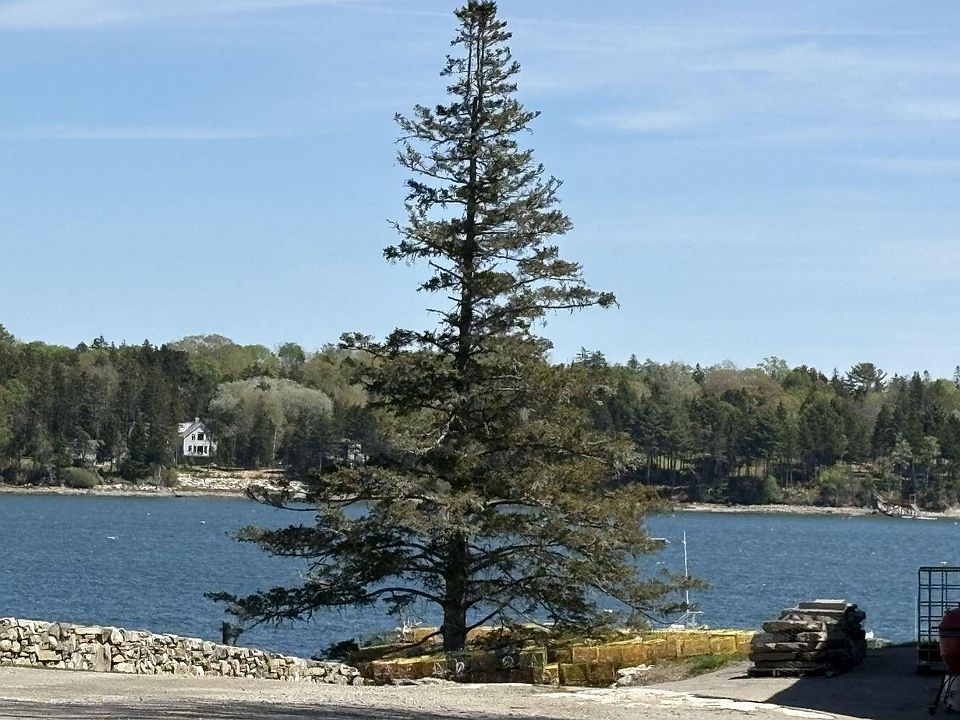 1st image of Lot 116010 Martin Point Road