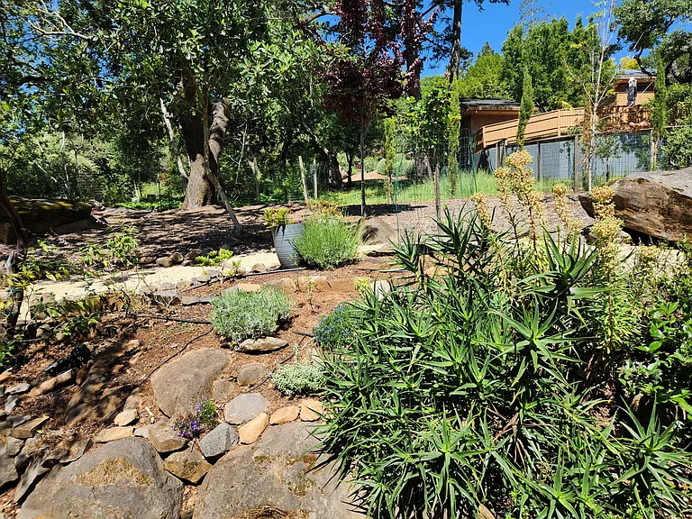 1625 Los Olivos Rd — Photo 37