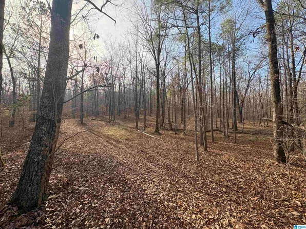 4540 Cabin Rd #4, Bessemer, AL 35022