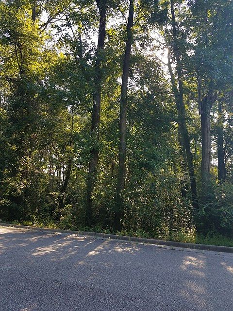 2nd image of 10th Avenue Sw E