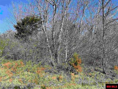 25 Green View Dr, Mountain Home, AR, 72653