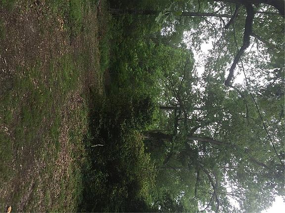 3rd image of School Section Rd