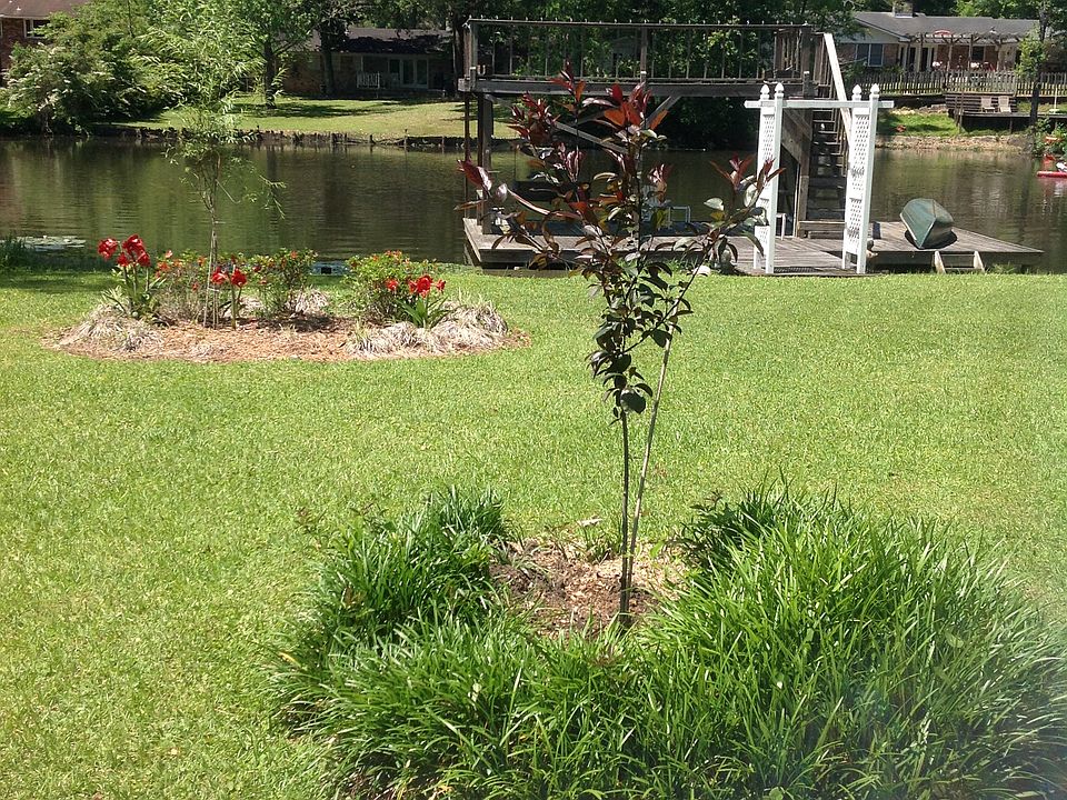2nd image of 4107 Lake Cir N