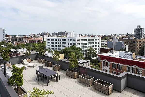 Rented by Bold New York | media 6