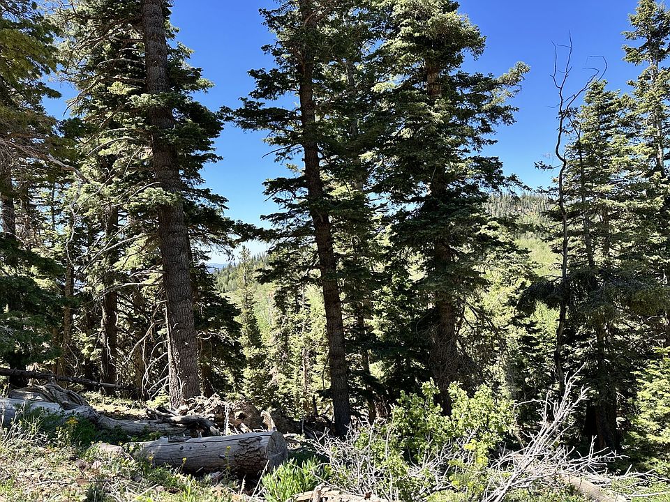 1st image of W North Fork Rd