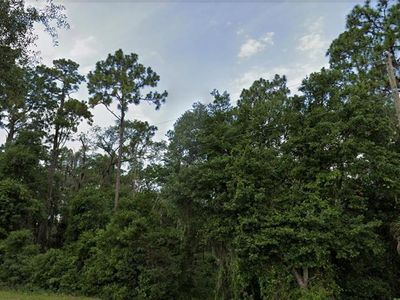 SE 49th St LOT 141, Ocklawaha, FL, 32179