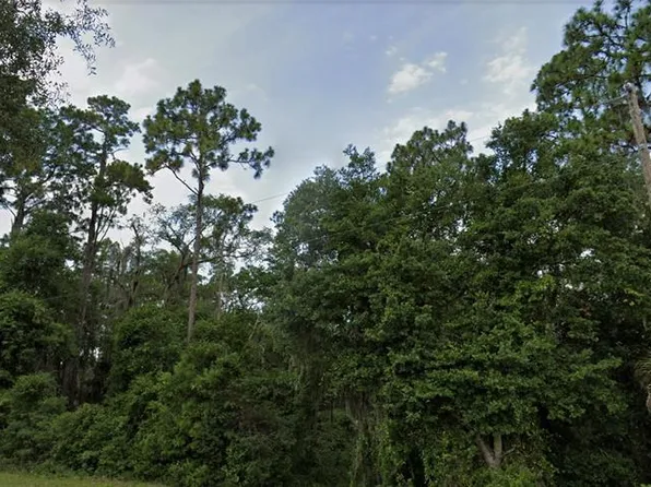 SE 49th St Lot 141, Ocklawaha, FL 32179