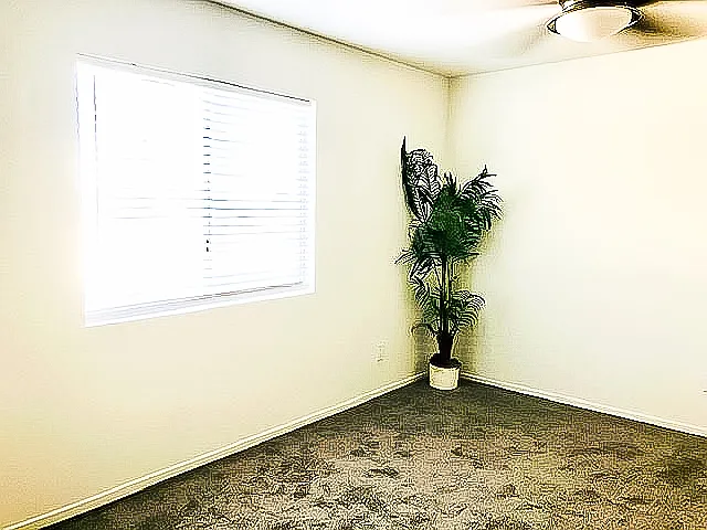 Carpet has been removed and this room now has LVT flooring.