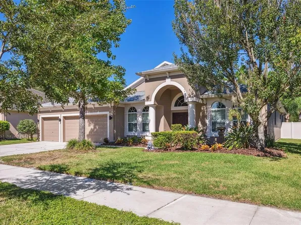 20324 Natures Corner Dr, Tampa, FL 33647
