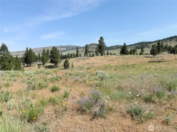 22 Dutch Anderson Road, Omak, WA 98841