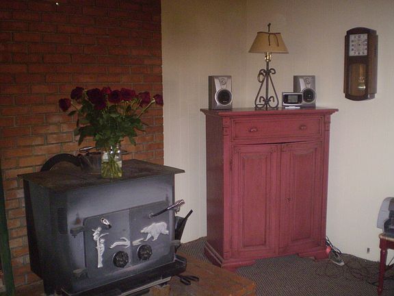 Homestead woodstove