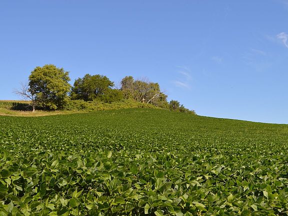 3rd image of 7288 County Road 33