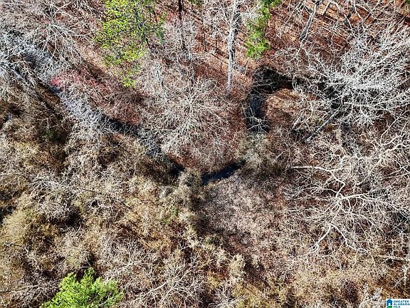 4th image of 7296 Goodner Mountain Rd #0