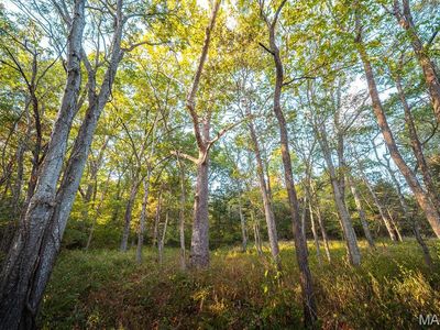 3107 Bouquet Rd, Glencoe, MO, 63038