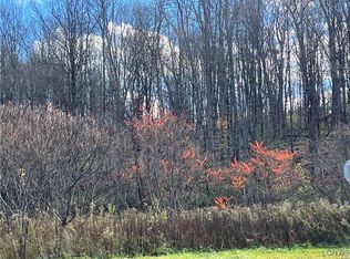 0 Nys Rte #28-31, Barneveld, NY 13304