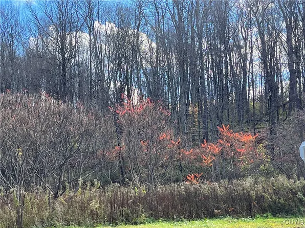 0 Nys Rte #28-31, Barneveld, NY 13304