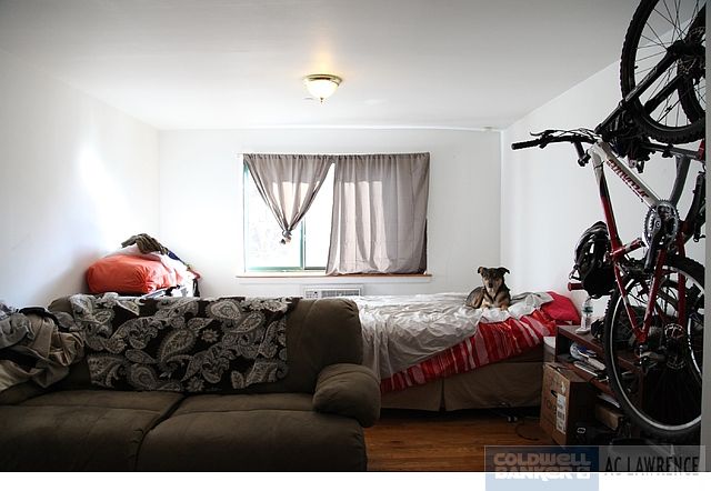 1st image of 247 Eldridge St APT 1A
