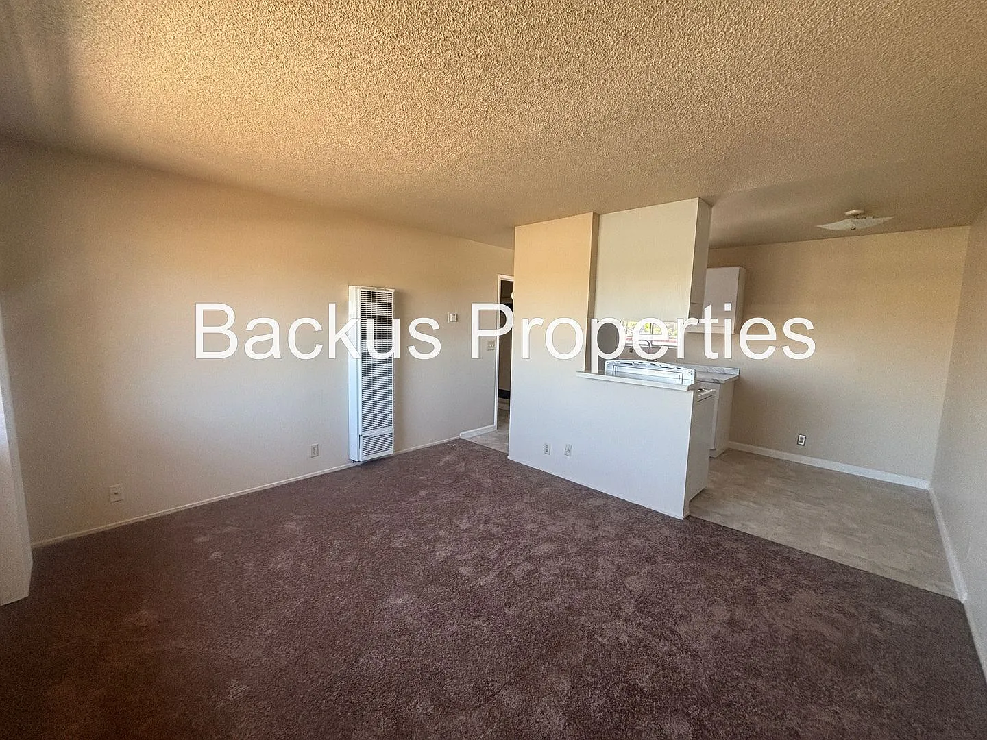 Cypress St 14 — Photo 3