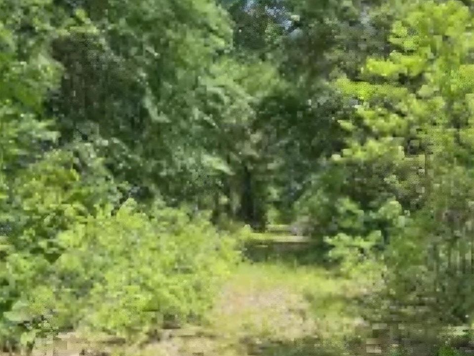 1st image of 2415 S Fm 17