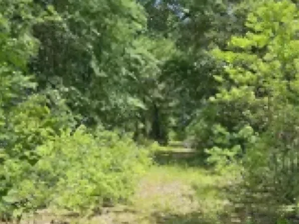 2415 S Fm 17, Alba, TX 75410
