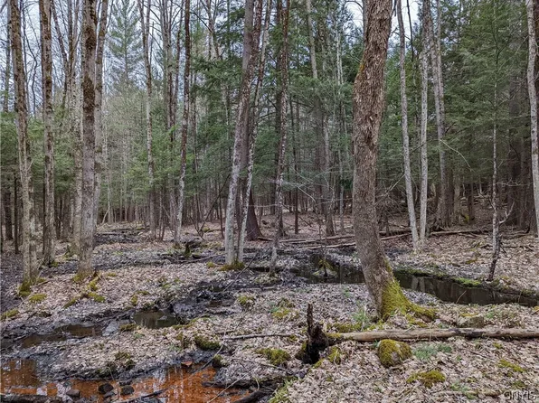 12 Cedar Ln #54, Glenfield, NY 13343