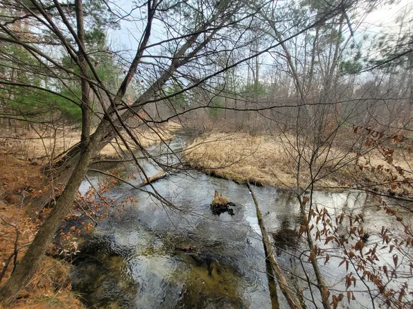 22580 W Kendaville Rd, Pierson, MI 49339