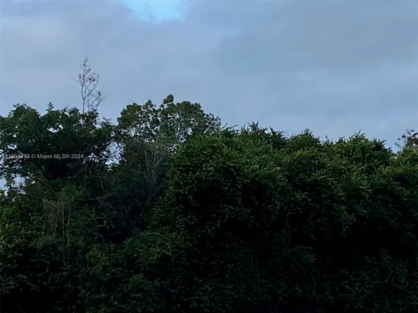 751 Puccini Ave S, Lehigh Acres, FL 33974