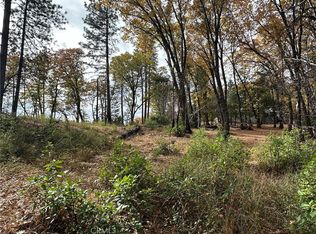 0 Bunker Hill Mine Rd #3, Oroville, CA 95965