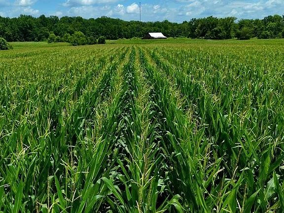 3rd image of 9055 Ilsley Rd