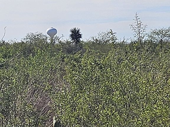 2nd image of 1431 County Rd Lot 11