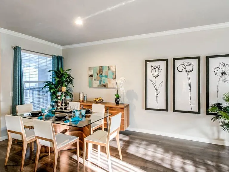 Meridian Luxury Apartment Homes — Photo 5