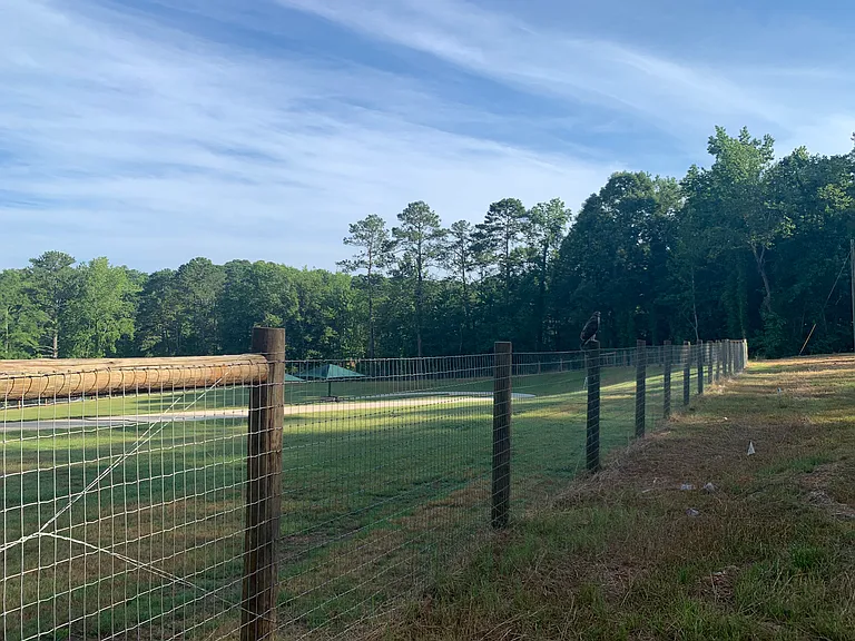 240 Habersham Dr — Photo 31