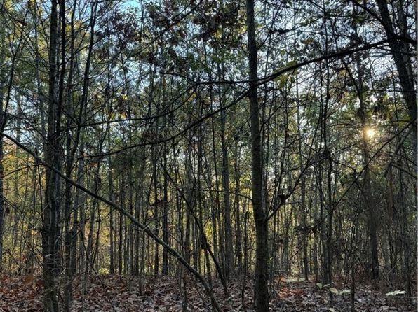 0 Bama Ln, Woodstock, AL 35188