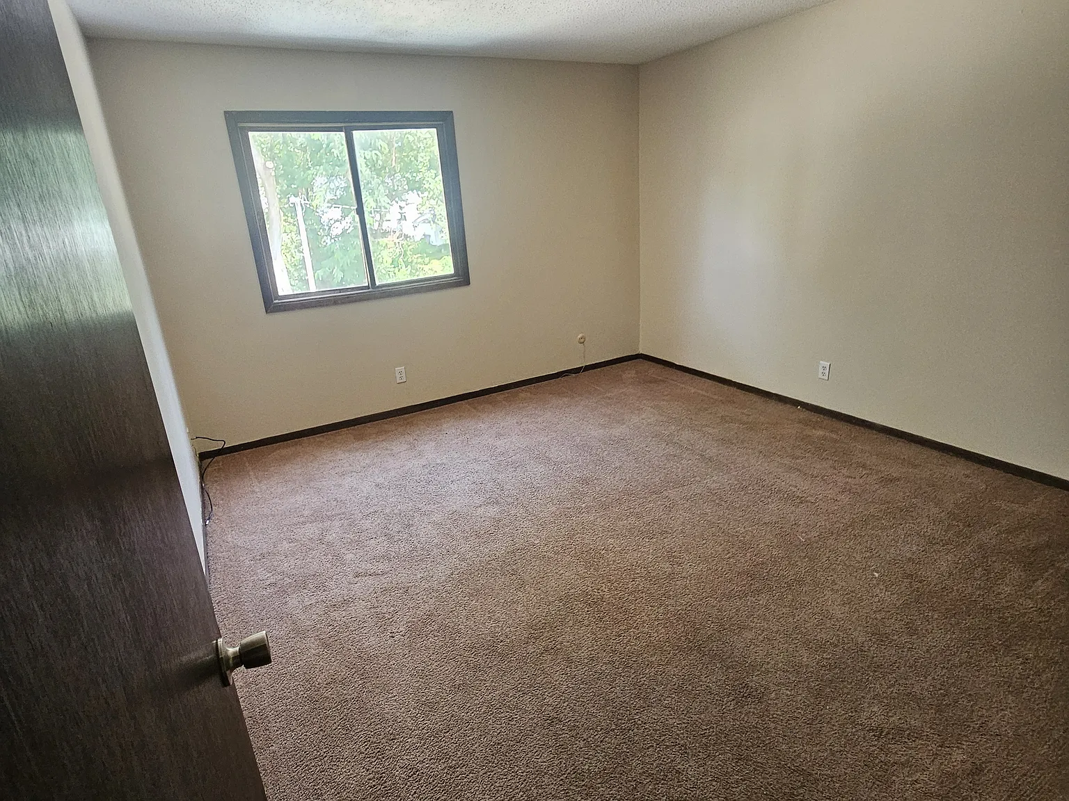 1 bed, 600 sqft, $800 — Photo 2