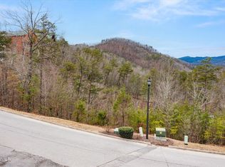 1033 Black Bear Cub Way, Sevierville, TN 37862