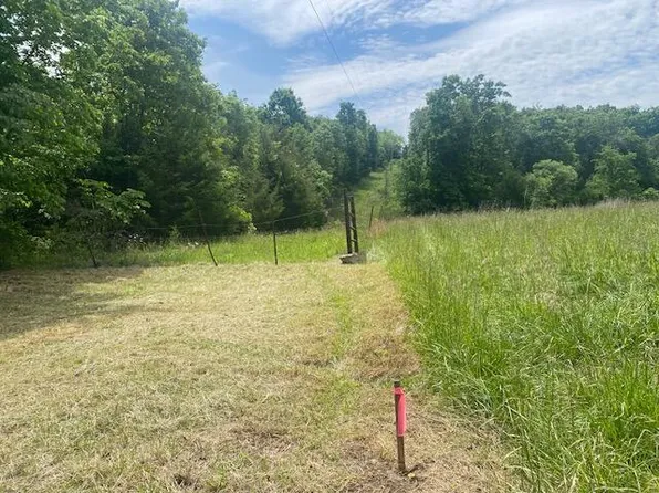 000 Flint Hollow Road, Seymour, MO 65746