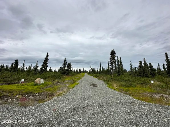 49302 S Timberwolf Rd, Sutton, AK 99674