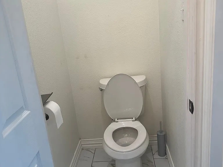 Master bedroom toilet.