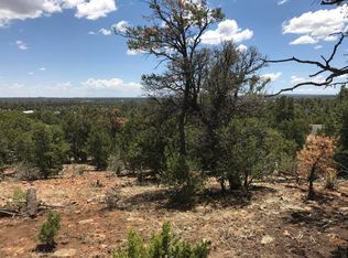 1572 Echo Cir, Heber, AZ 85928