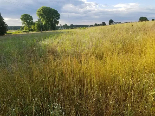 859 Greystone Dr #13, Chelsea, MI 48118