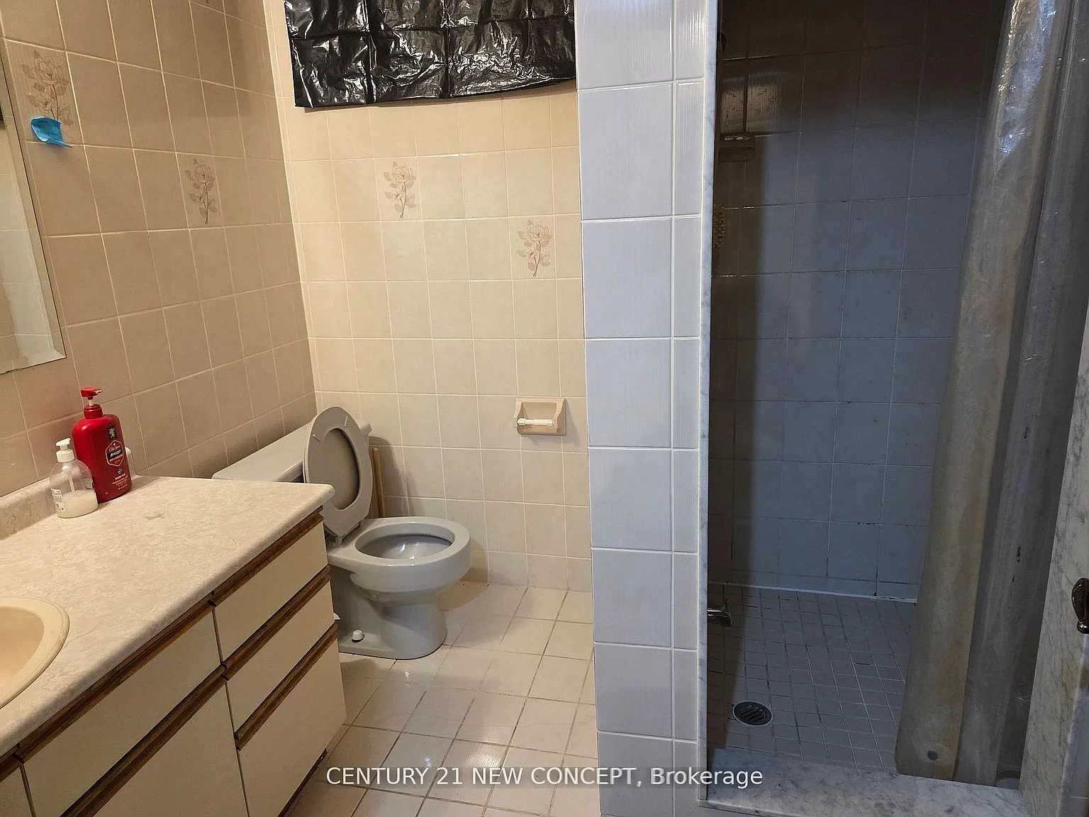 1 bed, $850 — Photo 2