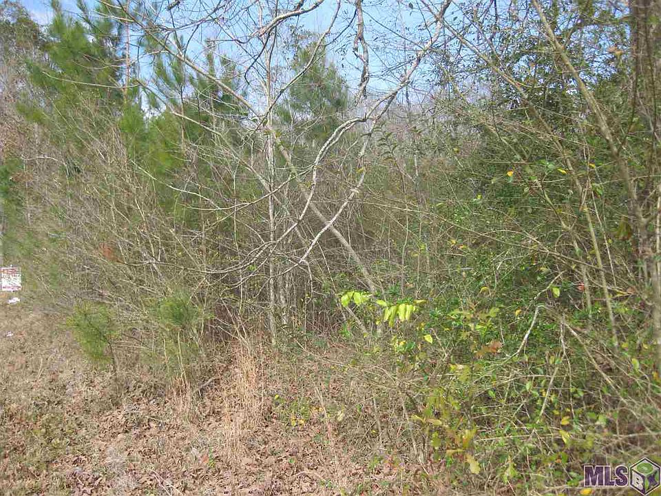 2nd image of Jones Rd