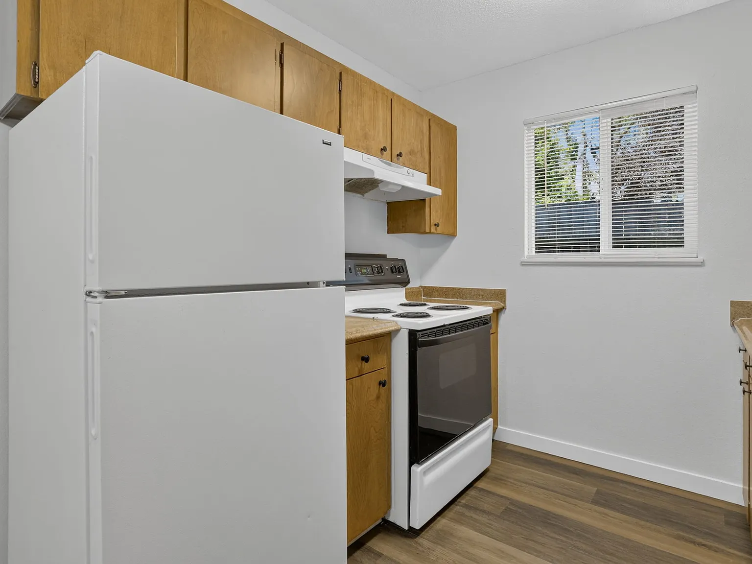 2 bed, 800 sqft, $1,795 — Photo 4
