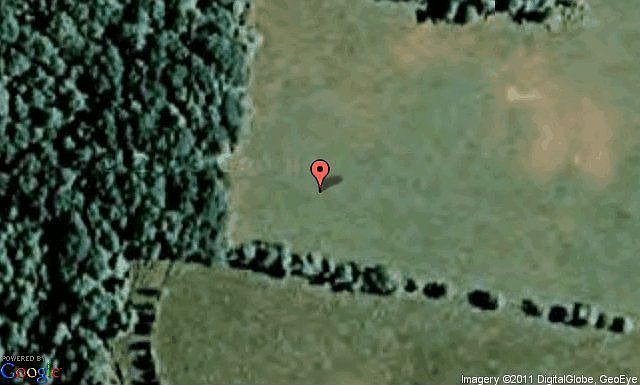 Map View