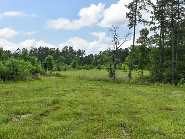 0 Oakdale Loop, Livingston, TX 77351